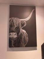 Schilderij canvas 75x115 Schotse Hooglander., Huis en Inrichting, Ophalen, Zo goed als nieuw, Schilderij, 75 cm of meer
