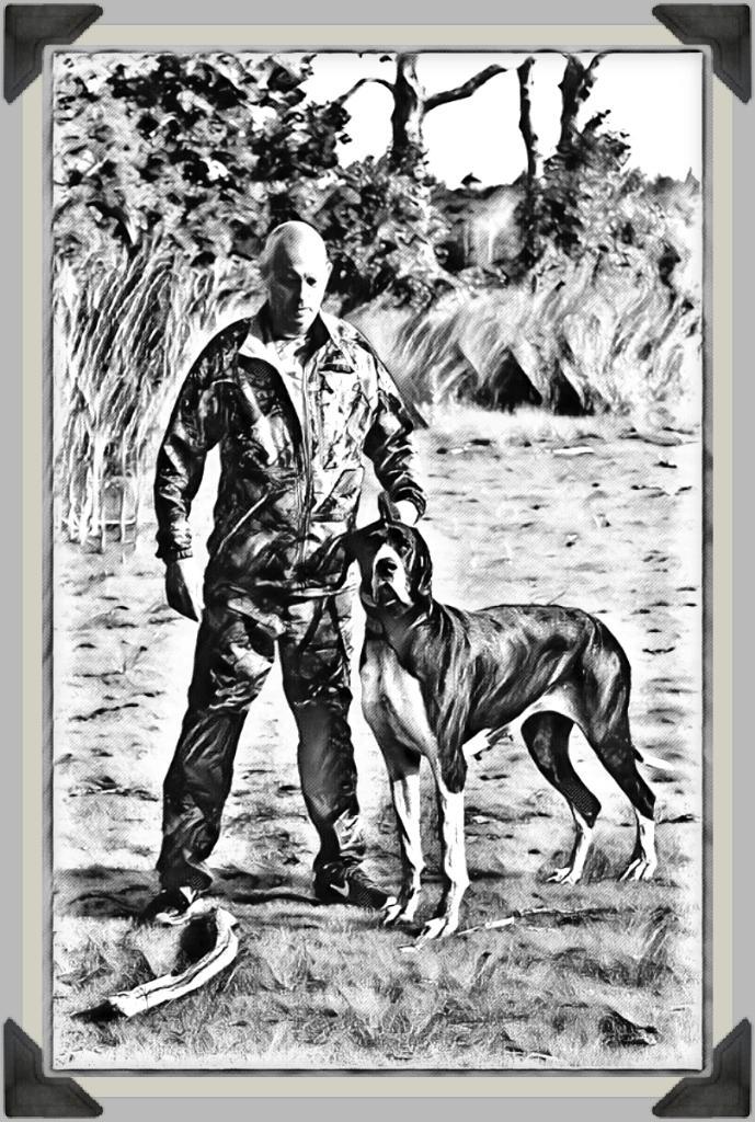 Gedragstherapeut (honden), Diensten en Vakmensen, Dieren | Honden | Verzorging, Oppas en Les, Training of Cursus