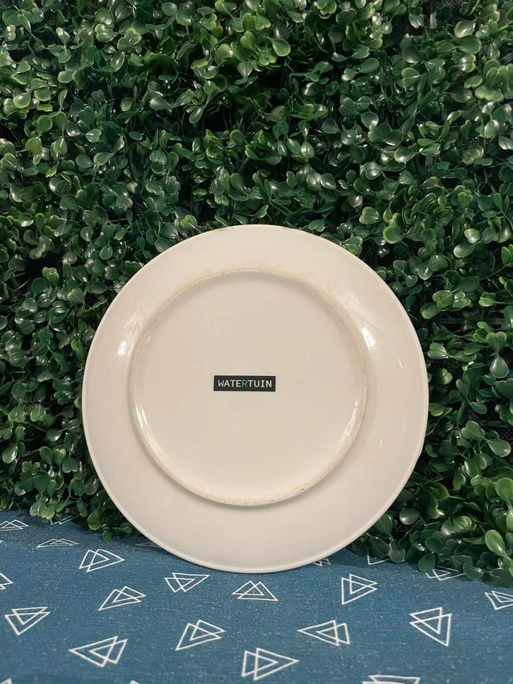 Keramiek Bord Watertuin - Effen, Huis en Inrichting, Keuken | Servies, Zo goed als nieuw, Bord(en), Effen, Keramiek, Ophalen of Verzenden