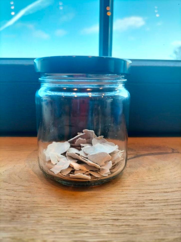 Gedroogde zuurdesem starter, Diversen, Levensmiddelen, Ophalen of Verzenden