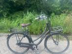 Sparta country tour damesfiets, 56 cm of meer, Ophalen, Sparta