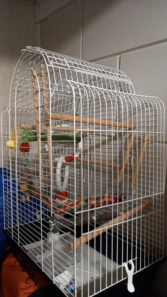 Bird cage - Vogelkooi, Dieren en Toebehoren, Vogels | Hokken en Kooien, Ophalen, Metaal, Vogelkooi