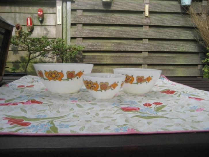 set arcopal schalen+schaal retro, Verzamelen, Retro, Huis en Inrichting, Ophalen of Verzenden