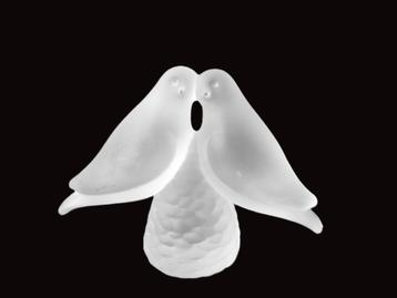 Reijmyre Zweden - Lovebirds beschikbaar voor biedingen