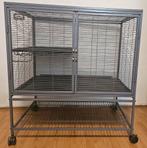 Critter nation (rattenkooi) te koop, Dieren en Toebehoren, Knaagdieren en Konijnen | Hokken en Kooien, Ophalen, Gebruikt, 90 cm of meer