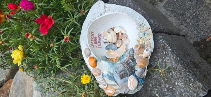 Bewerkte cocosnoot met schelpen., Hobby en Vrije tijd, Overige Hobby en Vrije tijd, Nieuw, Ophalen of Verzenden