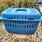 Kattenreismand, Dieren en Toebehoren, Ophalen, Nieuw