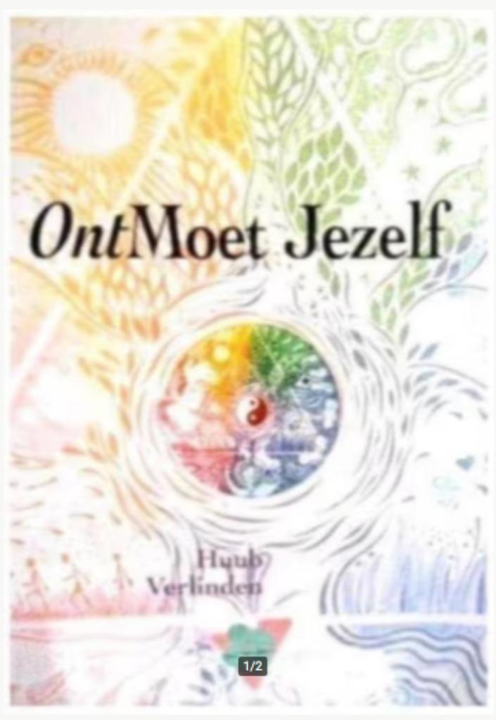 OntMoet Jezelf (Huub Verlinden), Boeken, Psychologie, Zo goed als nieuw, Ophalen of Verzenden