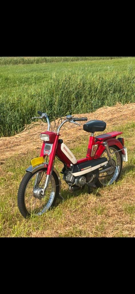 Peugot 103 oldtimer, Fietsen en Brommers, Brommers | Peugeot, Gebruikt, Overige modellen, Maximaal 45 km/u, Ophalen