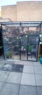 Mooie vogelvoillere, Dieren en Toebehoren, Vogels | Hokken en Kooien, Ophalen of Verzenden, Zo goed als nieuw, Aluminium, Volière