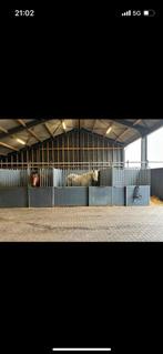 Paardenboxen