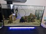 Superfish aquarium 40 liter, Dieren en Toebehoren, Vissen | Aquaria en Toebehoren, Ophalen of Verzenden, Zo goed als nieuw, Leeg aquarium