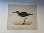 10 x Litho vogel in passe-partout, Antiek en Kunst, Ophalen of Verzenden