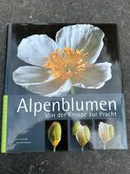 Alpenblumen: Von der Knospe zur Pracht bloemen boek, Ophalen of Verzenden, Gelezen