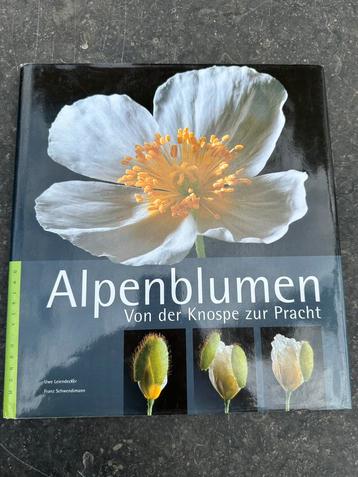Alpenblumen: Von der Knospe zur Pracht bloemen boek beschikbaar voor biedingen