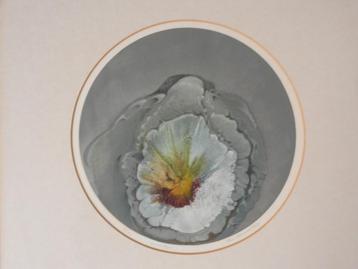Prachtige ronde monotype titel Bloei door Bas Haasnoot 1979 beschikbaar voor biedingen