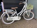 Loekie pick up fietsje 20 inch, Verzenden, Gebruikt, 20 inch