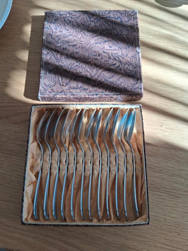 Bruckmann Wien koffielepels (12x) verzilverd in cassette, Antiek en Kunst, Antiek | Bestek, Ophalen of Verzenden
