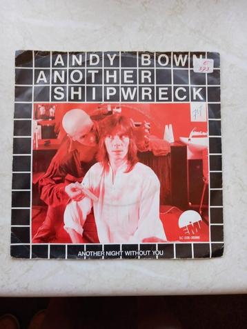 ANDY BOWN  /  another shipwreck   1978
