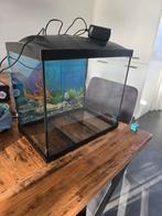 Aquarium 44x29x40, Dieren en Toebehoren, Vissen | Aquaria en Toebehoren, Ophalen, Zo goed als nieuw, Leeg aquarium