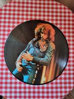 Neil Diamond , Picture LP , Hot August night, Cd's en Dvd's, Ophalen of Verzenden, 1960 tot 1980, Gebruikt, 12 inch