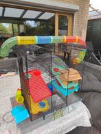 Hamster kooi, Dieren en Toebehoren, Kooi, Minder dan 75 cm, Hamster, Ophalen