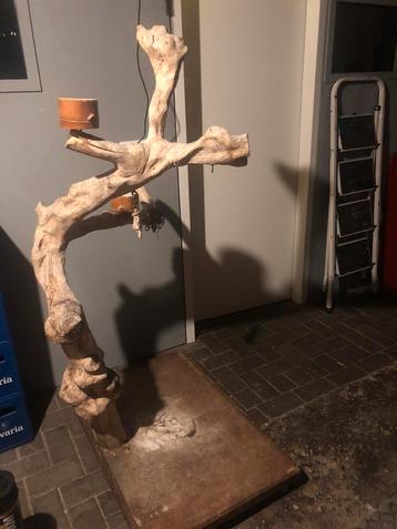 Java speelboom beschikbaar voor biedingen