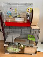 Hamster/Knaagdieren Kooi, Dieren en Toebehoren, Knaagdieren en Konijnen | Hokken en Kooien, Kooi, Minder dan 75 cm, Zo goed als nieuw