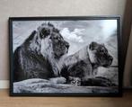 Foto van leeuwen op hout, Huis en Inrichting, Woonaccessoires | Schilderijen, Tekeningen en Foto's, Ophalen, Zo goed als nieuw