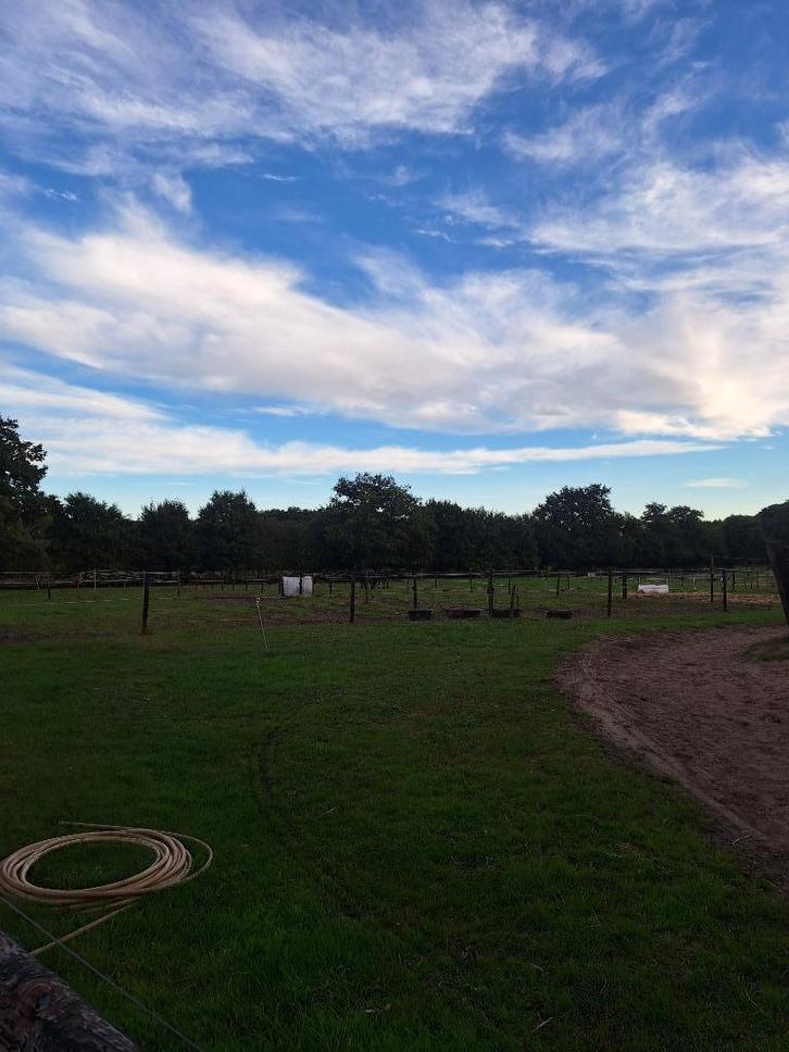 Te huur stalling en weidegang Holten, Dieren en Toebehoren, Stalling en Weidegang, Stalling, Weidegang