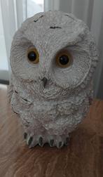 Uiltje, Ophalen of Verzenden, Dier