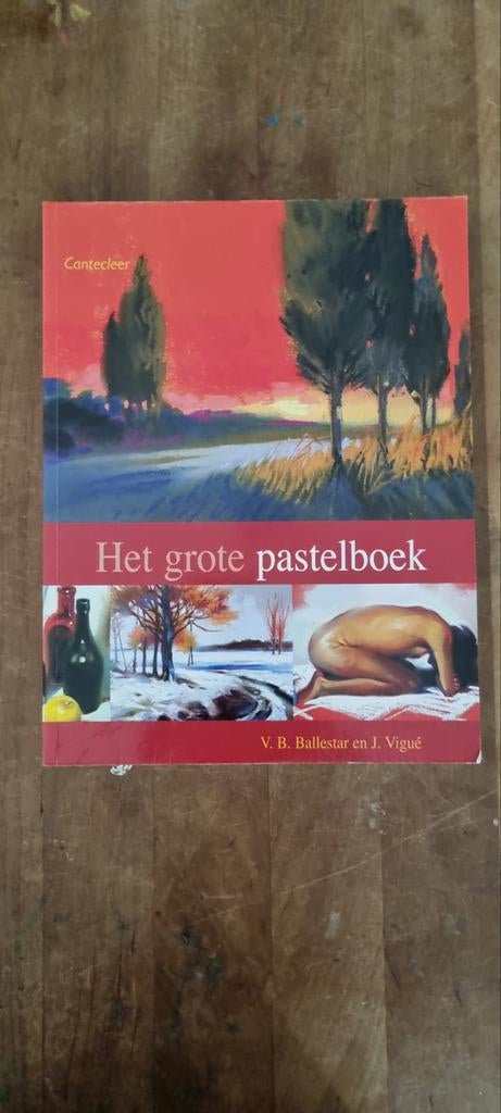 Het Grote Pastelboek - Ballestar & Vigué, Ophalen of Verzenden, Gelezen, Fotografie algemeen, V. B. Ballestar en J. Vigué