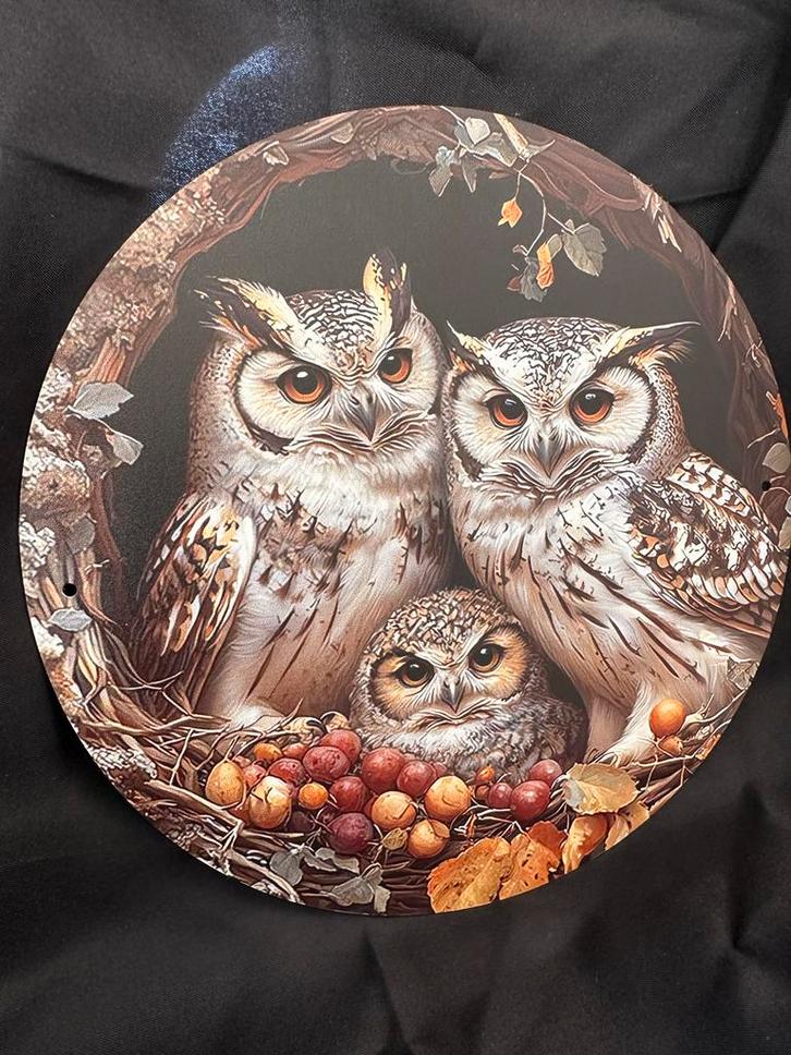 Uilenfamilie op Metalen Bord - Herfst Collectie, Huis en Inrichting, Woonaccessoires | Wanddecoraties, Nieuw, Ophalen of Verzenden