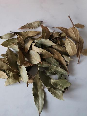Laurierblad, gedroogd en ook vers. Biologisch.  beschikbaar voor biedingen