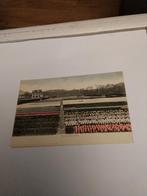 HYACINTEN VELDEN.  SASSENHEIM, Ophalen of Verzenden, Voor 1920, Zuid-Holland