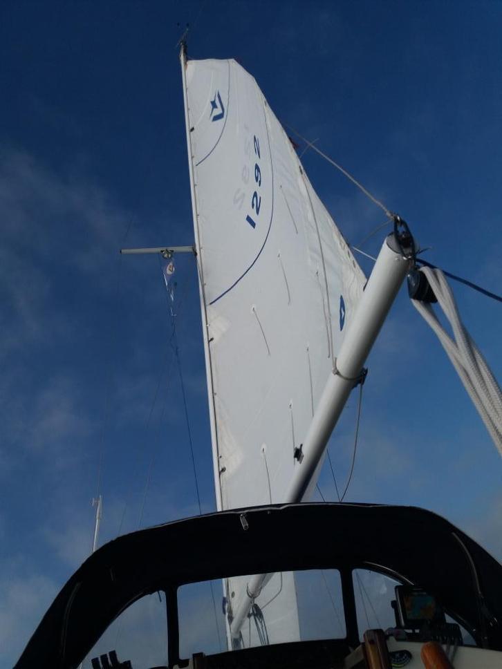 Grootzeil Albin Vega, Watersport en Boten, Zeilen en Zeiltoebehoren, Gebruikt, Grootzeil, Minder dan 15 m², 6 meter of meer, Ophalen