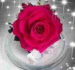 Lotgenoten gezocht: onrecht door familie, erfeniskwestie, Contacten en Berichten