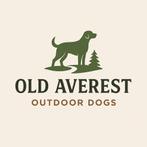 Hondenopvang en uitlaatservice in Overijssel, Diensten en Vakmensen, Dieren | Honden | Verzorging, Oppas en Les, Uitlaatservice