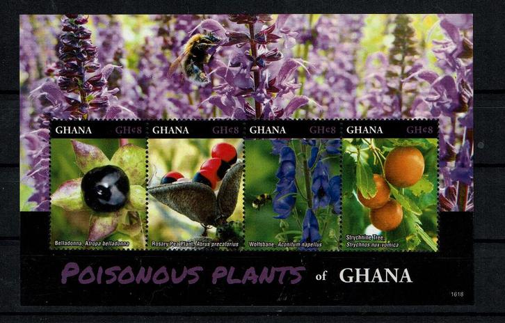 GHANA 2016 PF BLOK BLOEMEN FLOWERS FLORA, Postzegels en Munten, Postzegels | Thematische zegels, Postfris, Dier of Natuur, Ophalen of Verzenden