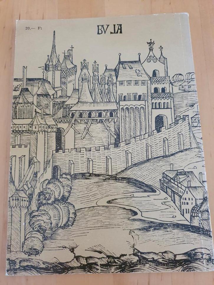 Kleine Ungarische Geschichte, Boeken, Geschiedenis | Stad en Regio, Gelezen, Ophalen of Verzenden