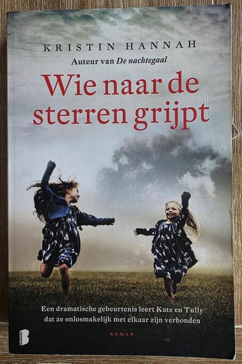 Wie naar de sterren grijpt - Kristin Hannah, Boeken, Romans, Zo goed als nieuw, Nederland, Ophalen of Verzenden