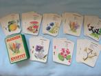 Vintage bloemenkwartet in plastic doosje, Een of twee spelers, Ophalen of Verzenden, Gebruikt