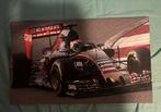 Schilderij  van max Verstappen, Ophalen of Verzenden