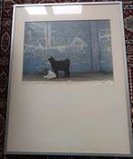 Schilderij van Hannelieke van de Beek, Antiek en Kunst, Ophalen of Verzenden