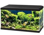 Ciano Aquarium 60 LED CF80, Dieren en Toebehoren, Vissen | Aquaria en Toebehoren, Ophalen of Verzenden, Zo goed als nieuw, Leeg aquarium