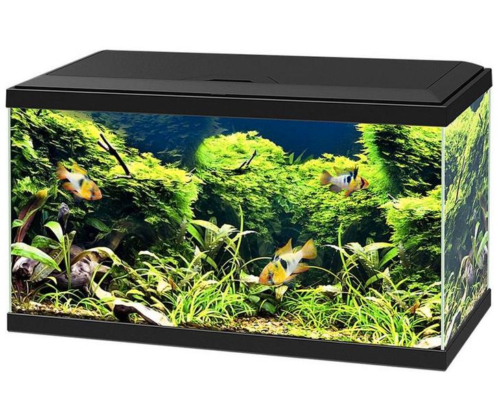 Ciano Aquarium 60 LED CF80, Dieren en Toebehoren, Vissen | Aquaria en Toebehoren, Zo goed als nieuw, Leeg aquarium, Ophalen of Verzenden