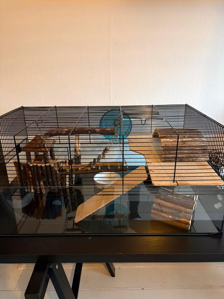 Mooie knaagdieren kooi, Dieren en Toebehoren, Knaagdieren en Konijnen | Hokken en Kooien, Zo goed als nieuw, Kooi, Minder dan 60 cm