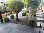 Volledige bestrating aangeboden!, Tuin en Terras, Tegels en Klinkers, Ophalen of Verzenden, Beton, 10 m² of meer, Klinkers