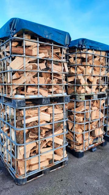 Haardhout vers en halfdroog beschikbaar voor biedingen