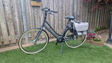pointer noflick ride beschikbaar voor biedingen